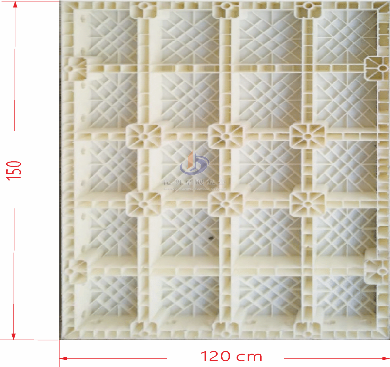 11.29塑胶模板.1